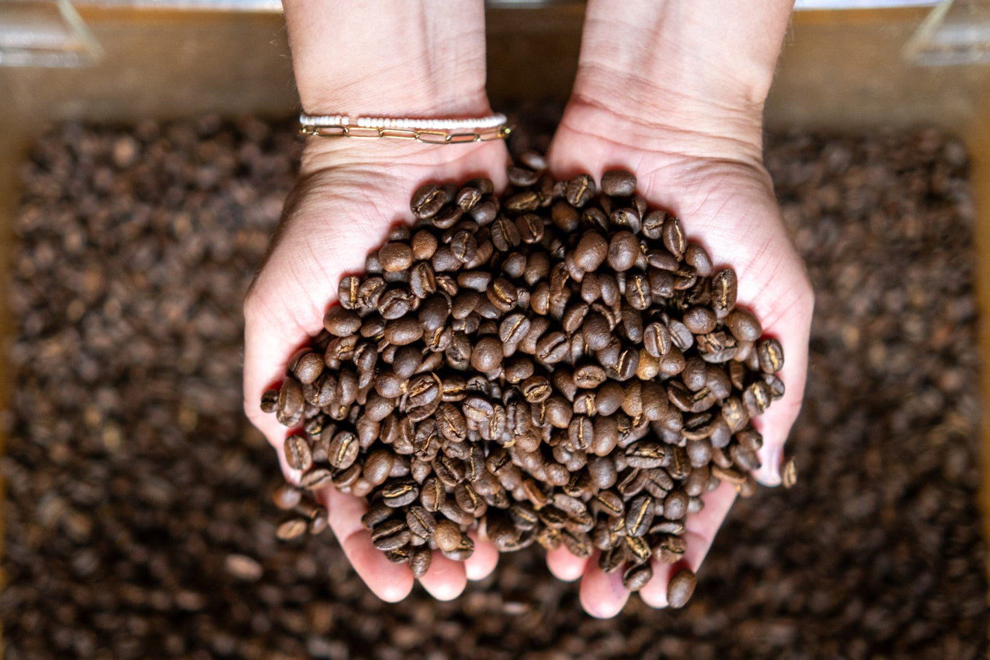 Small Roasters Pack