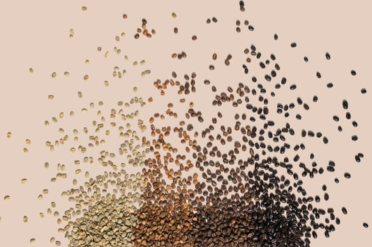 ROTATING - EL SALVADOR