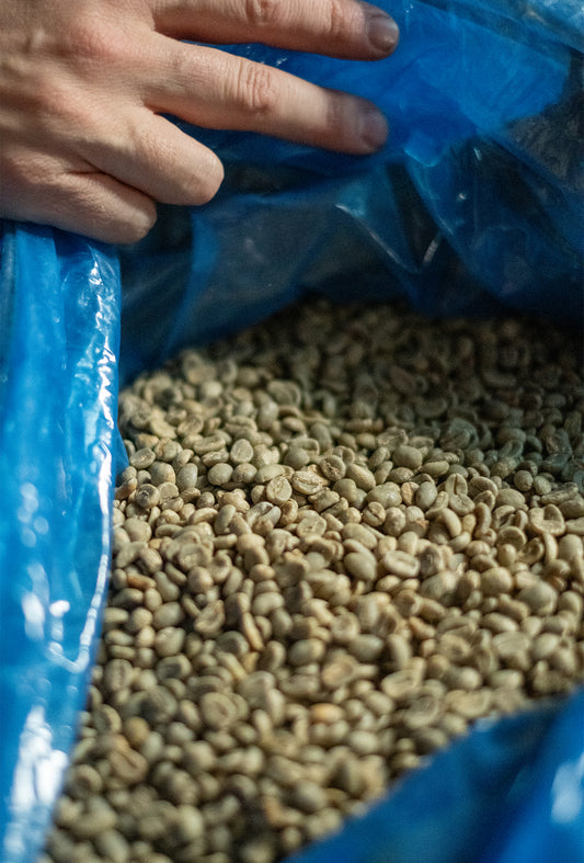 5lb Guatemala