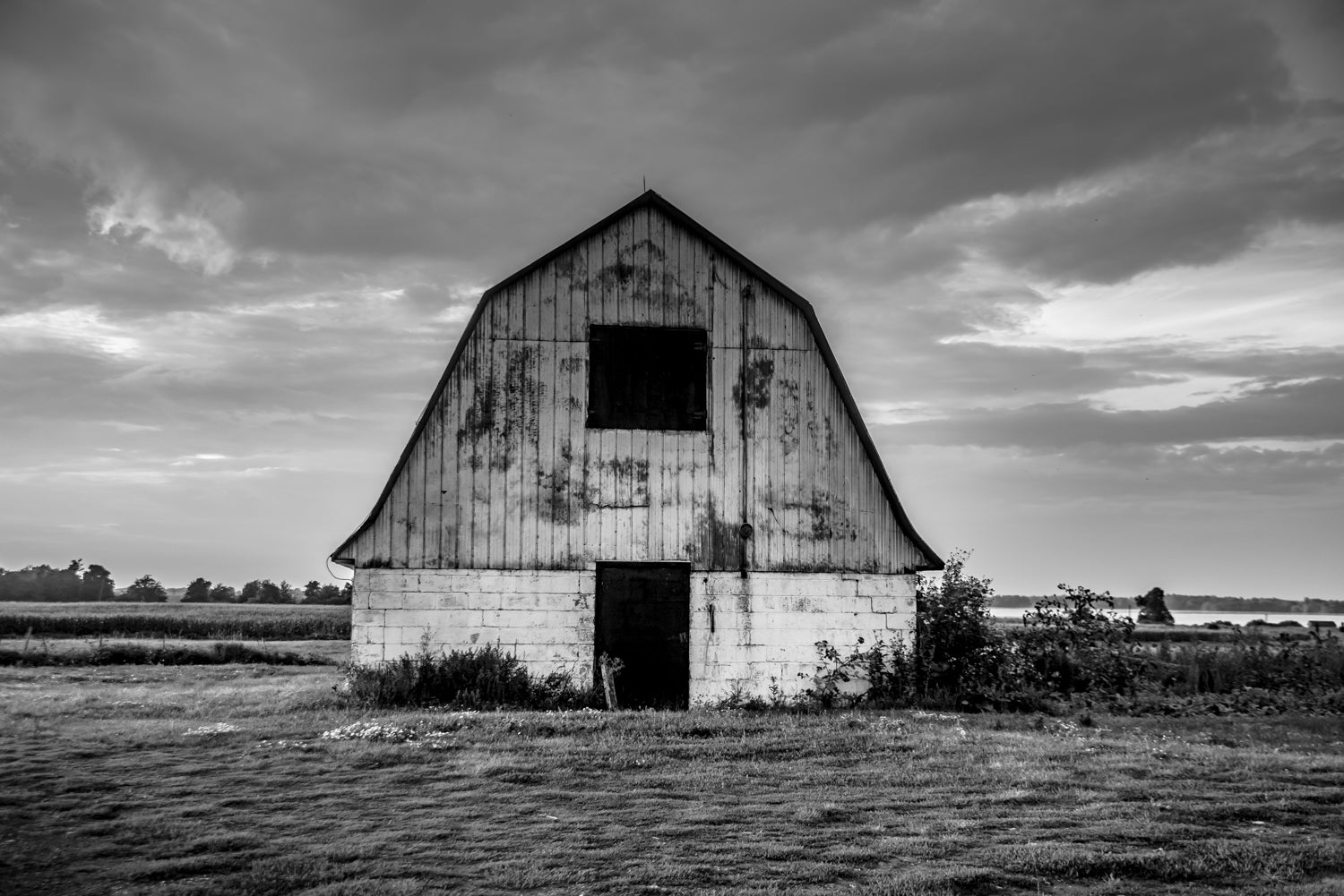 Our Story Haymakers Coffee Co.